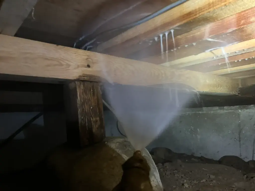 築35年住宅で行ったイエシロアリ駆除と再発防止処理の施工事例