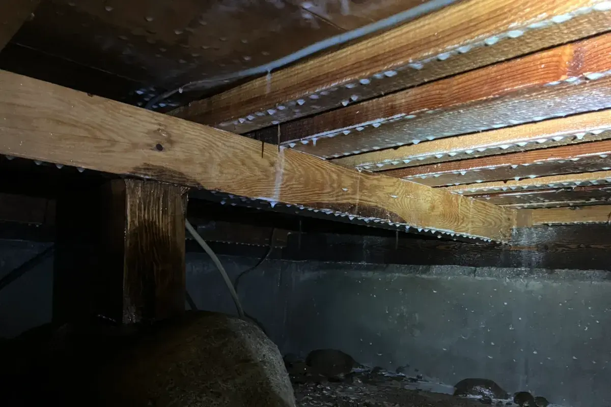シロアリ駆除と再発防止処理が完了した、築35年住宅の床下の様子