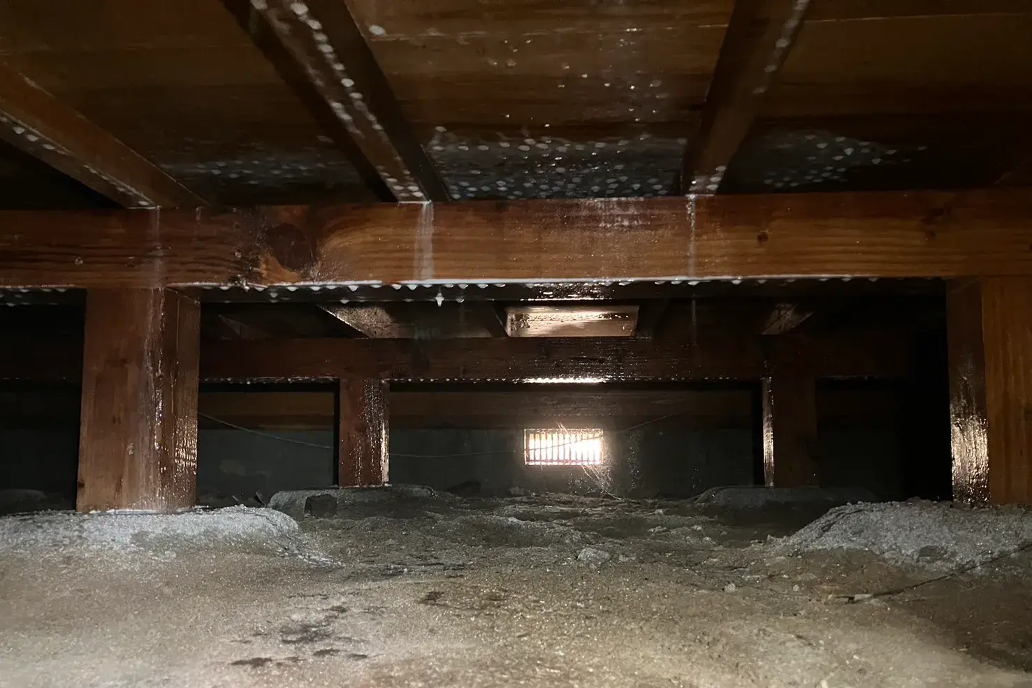 構造材に防蟻・防腐薬剤が浸透した床下