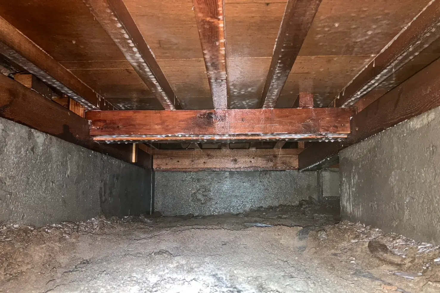 床下全面へのシロアリ予防消毒処理完了。構造材と土壌表面に薬剤が付着し、防御バリアが構築された状態。