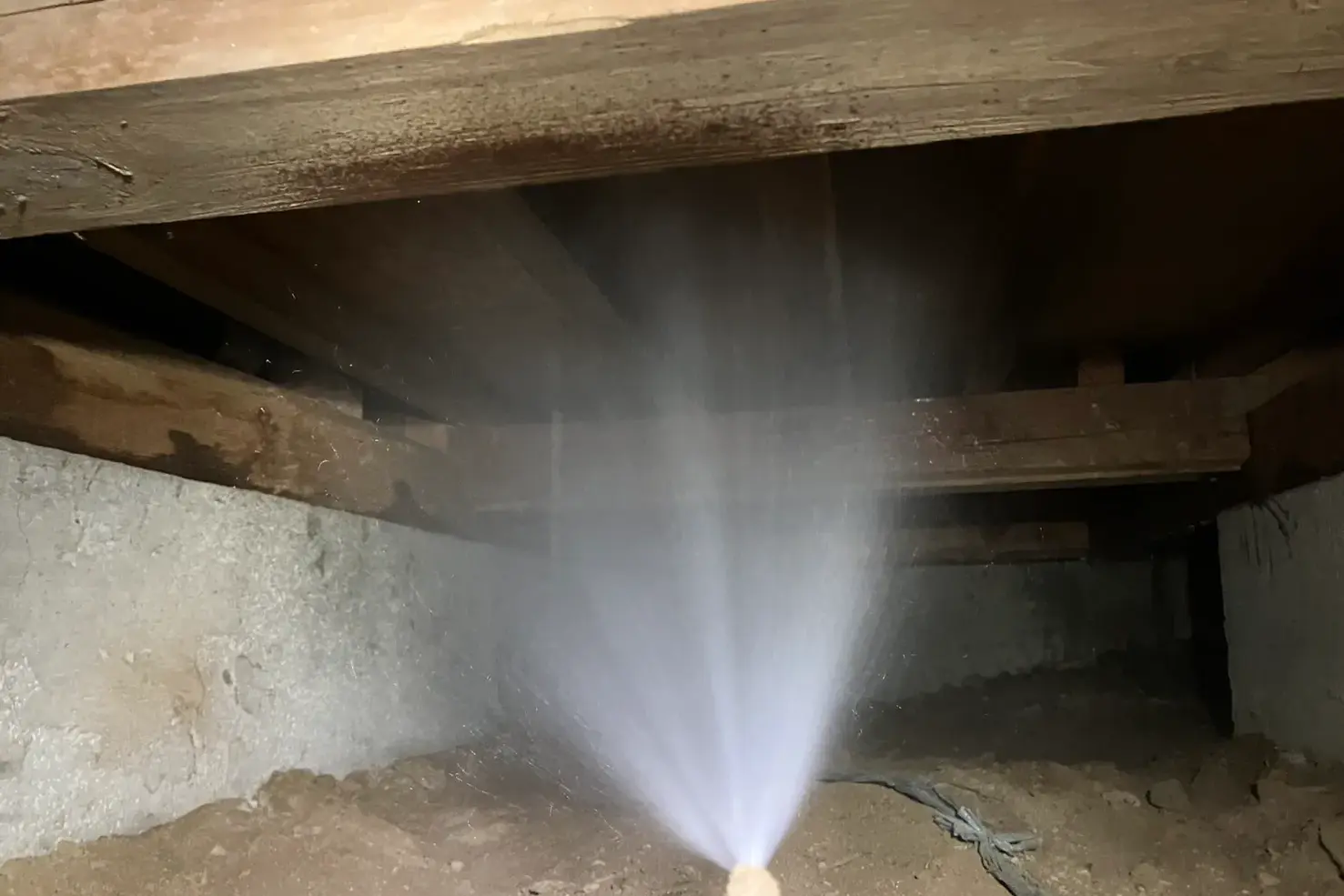 プロの専門スタッフによる予防消毒作業中。薬剤が土壌面と基礎構造材に向けて均一に噴霧されている様子