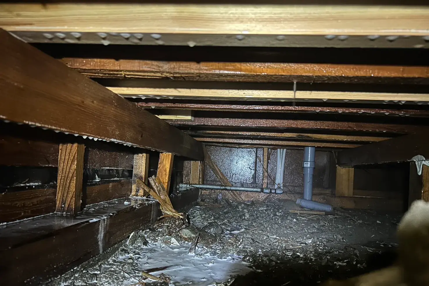 補強も消毒も完了している様子