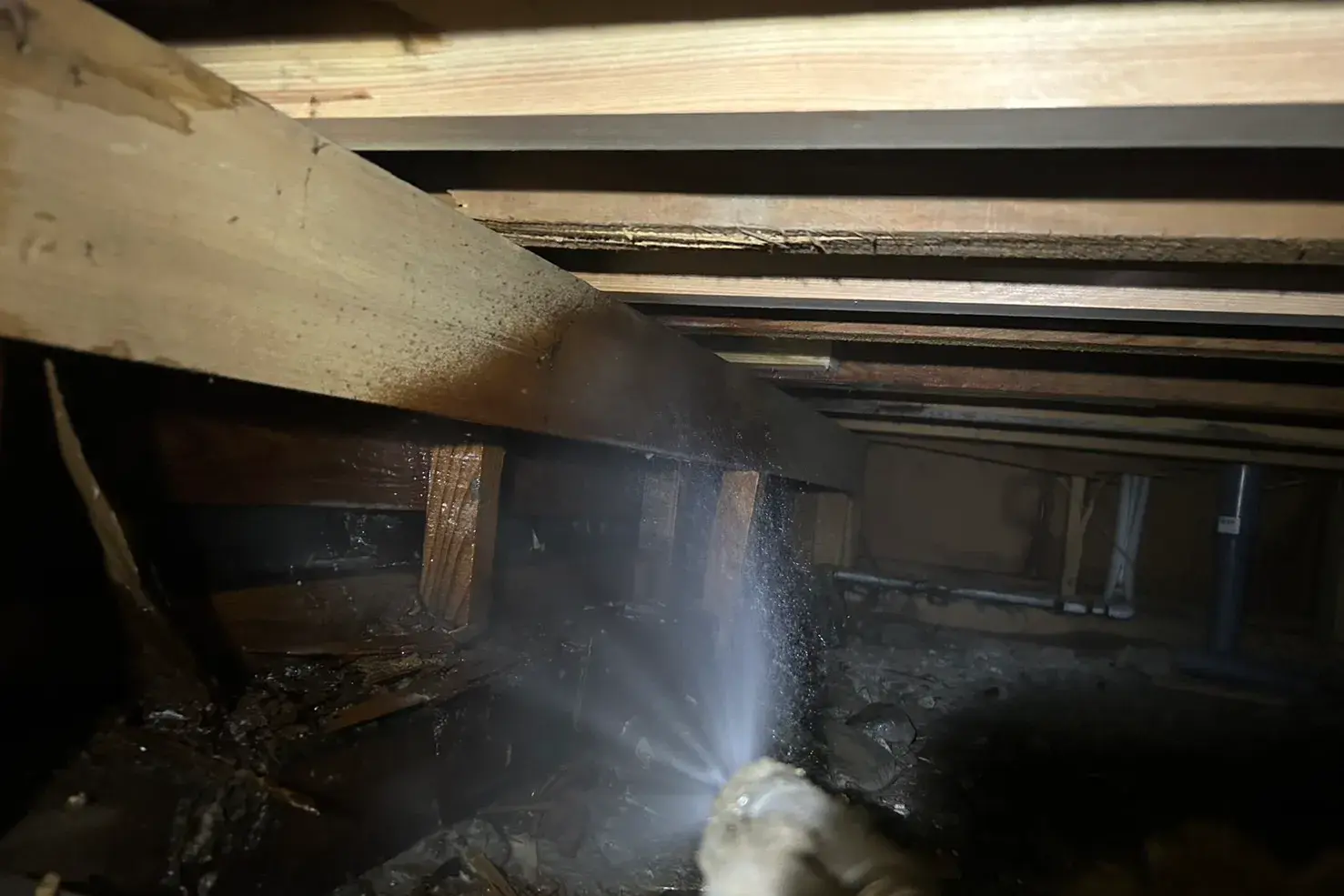 根太を追加補強後に消毒を散布している様子