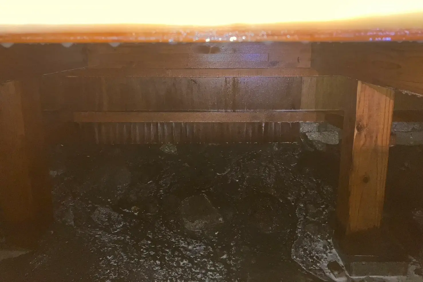 薬剤が浸透し、防蟻保護バリアが形成された床下