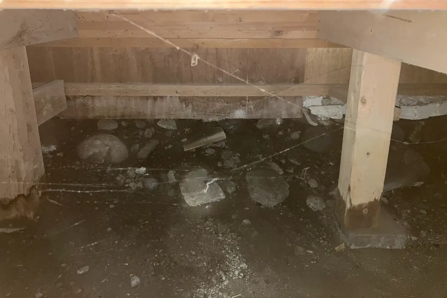 シロアリが好む湿気で黒変した床下の土台