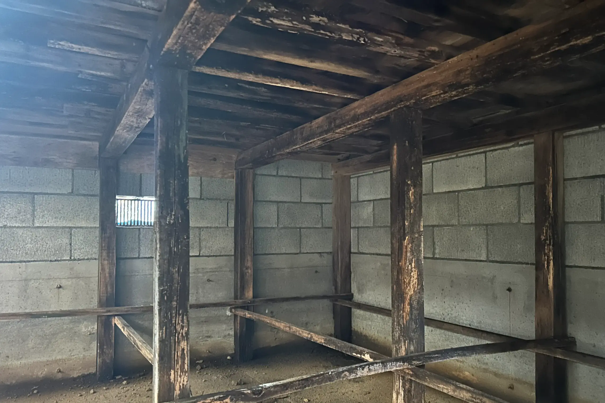 シロアリ駆除＆床下の構造補強・施工前