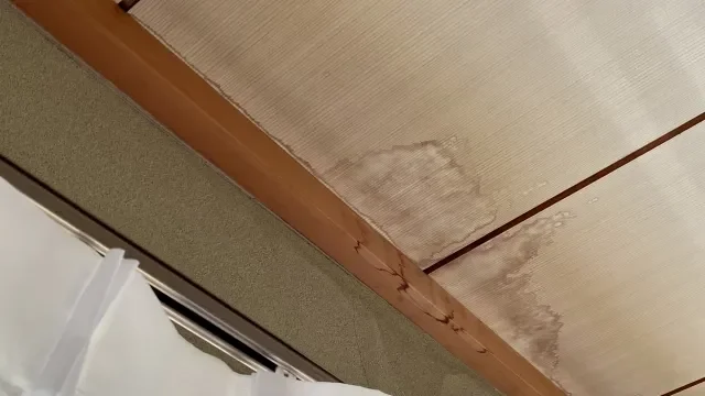 雨漏り修理