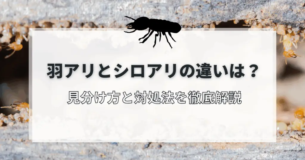 羽アリとシロアリの違い