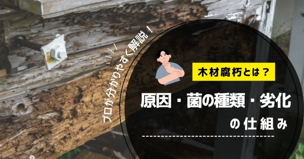 木材腐朽とは？原因・菌の種類・劣化の仕組みをプロがわかりやすく解説という記事のアイキャッチ画像