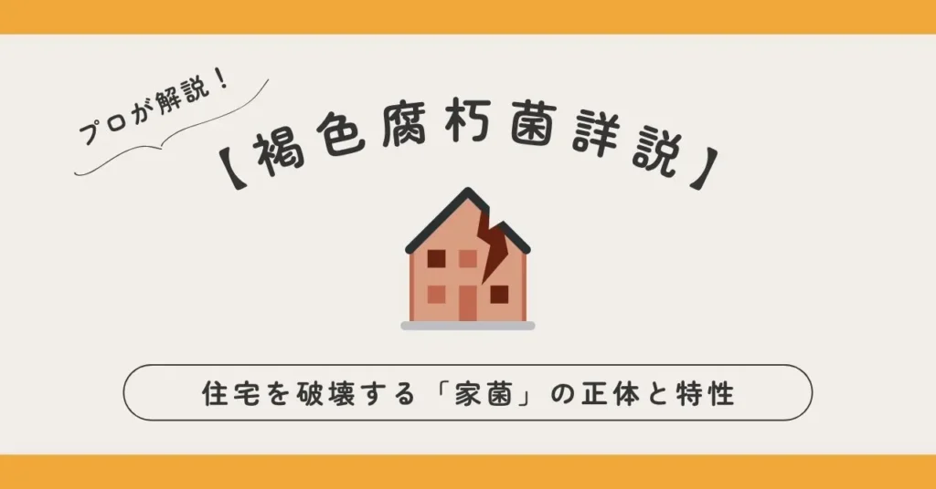 【褐色腐朽菌詳説】住宅を破壊する「家菌」の正体と特性についての記事のアイキャッチ画像
