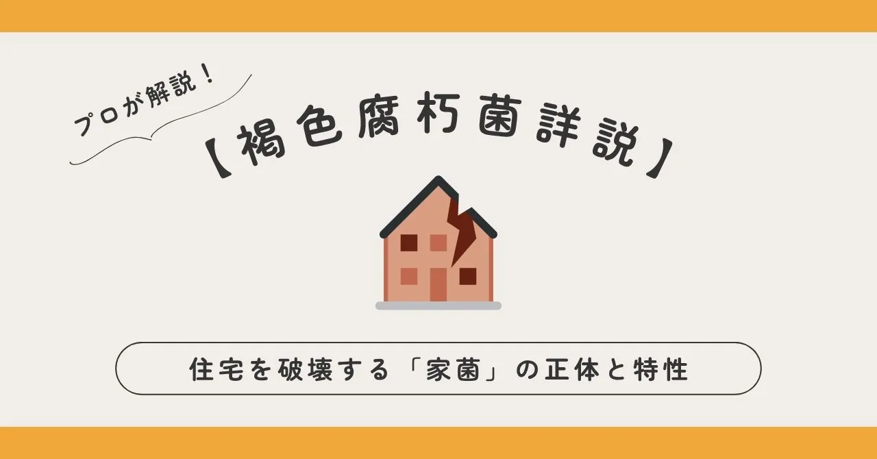 【褐色腐朽菌詳説】住宅を破壊する「家菌」の正体と特性についての記事のアイキャッチ画像