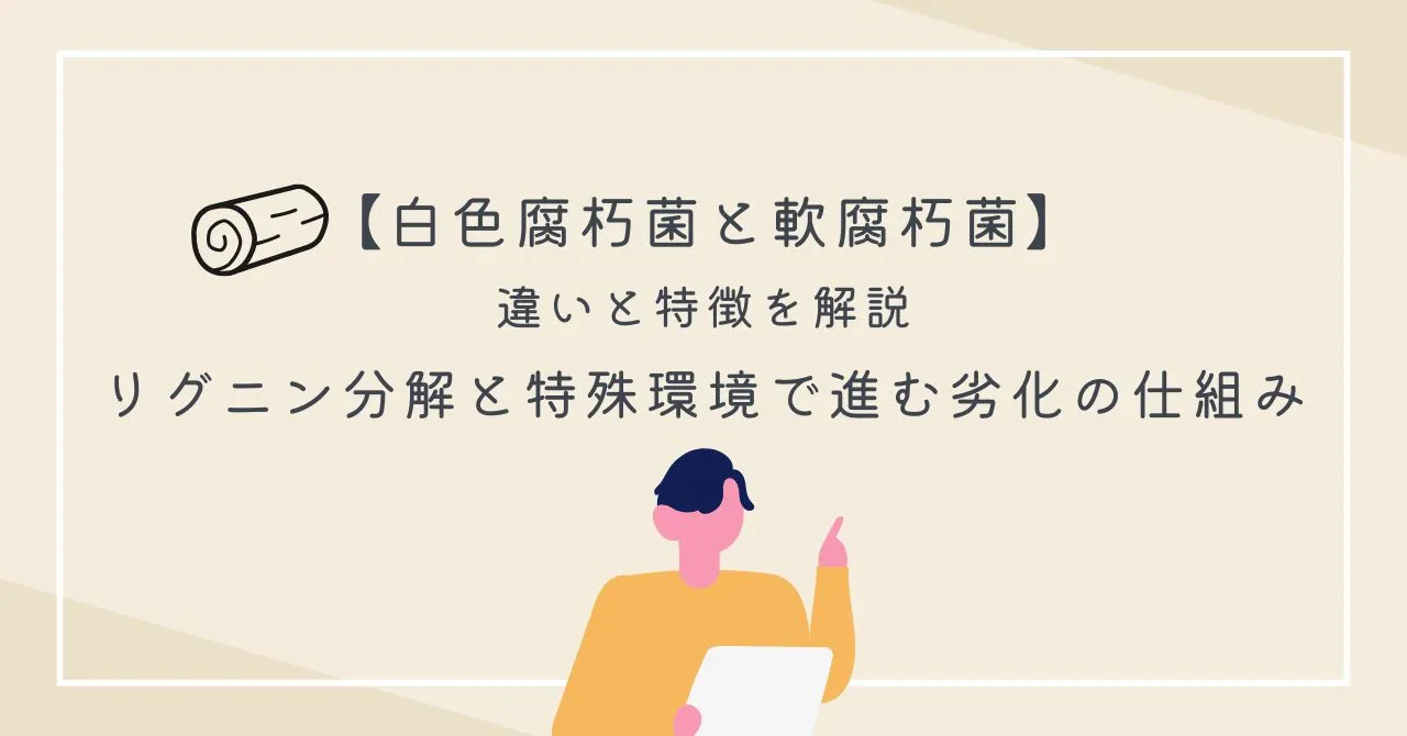 【白色腐朽菌と軟腐朽菌】違いと特徴を解説｜リグニン分解と特殊環境で進む劣化の仕組みについての記事のアイキャッチ画像