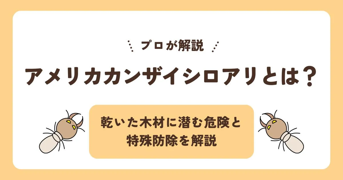 アメリカカンザイシロアリとは？乾いた木材に潜む危険と特殊防除を解説する記事のアイキャッチ画像
