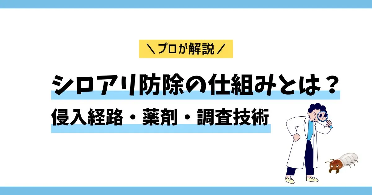 シロアリ防除の仕組みとは？侵入経路・薬剤・調査技術をプロが解説する記事のアイキャッチ画像