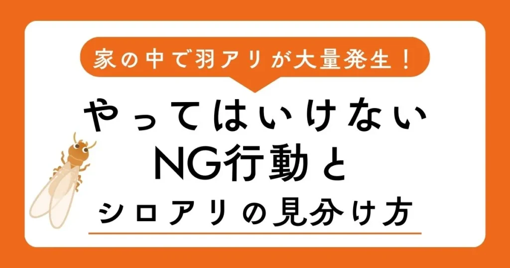 家の中で羽アリが大量発生！やってはいけないNG行動とシロアリの見分け方