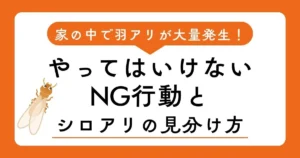 家の中で羽アリが大量発生！やってはいけないNG行動とシロアリの見分け方