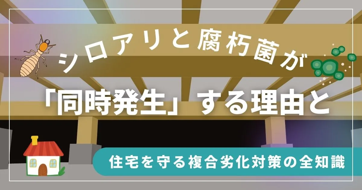 シロアリと腐朽菌が「同時発生」する理由と、 住宅を守る複合劣化対策の全知識