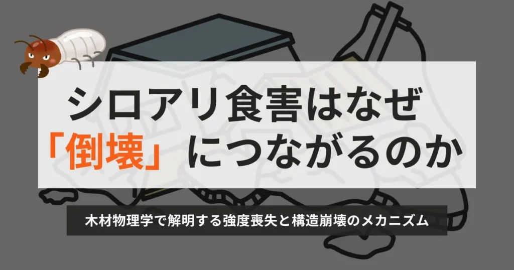 シロアリ食害はなぜ「倒壊」につながるのか—— 木材物理学で解明する強度喪失と構造崩壊のメカニズム