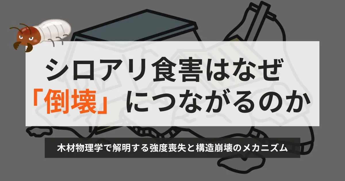 シロアリ食害はなぜ「倒壊」につながるのか—— 木材物理学で解明する強度喪失と構造崩壊のメカニズム