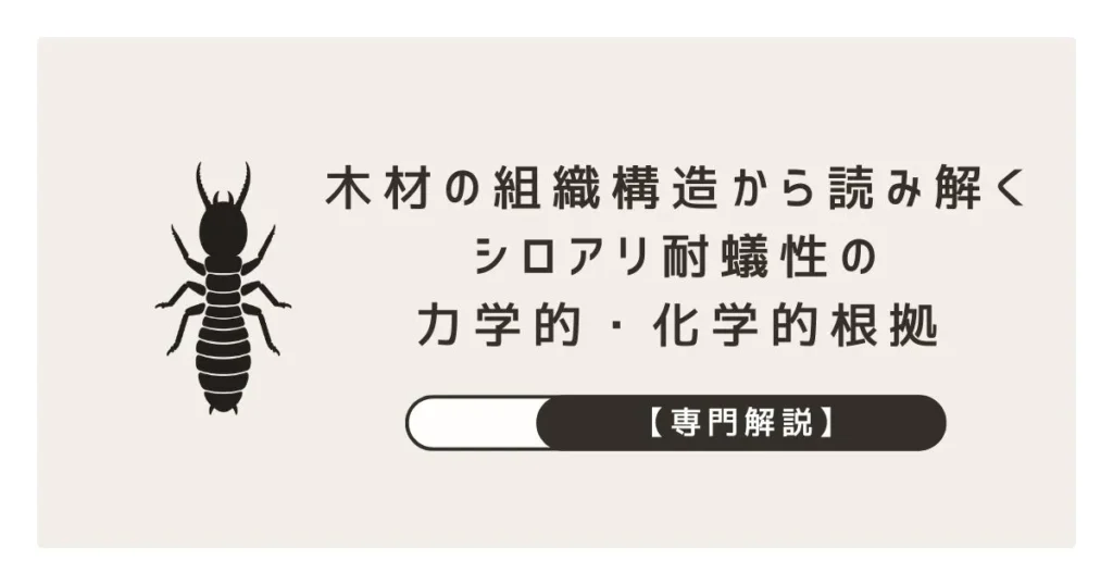 【専門解説】木材の組織構造から読み解くシロアリ耐蟻性の力学的・化学的根拠