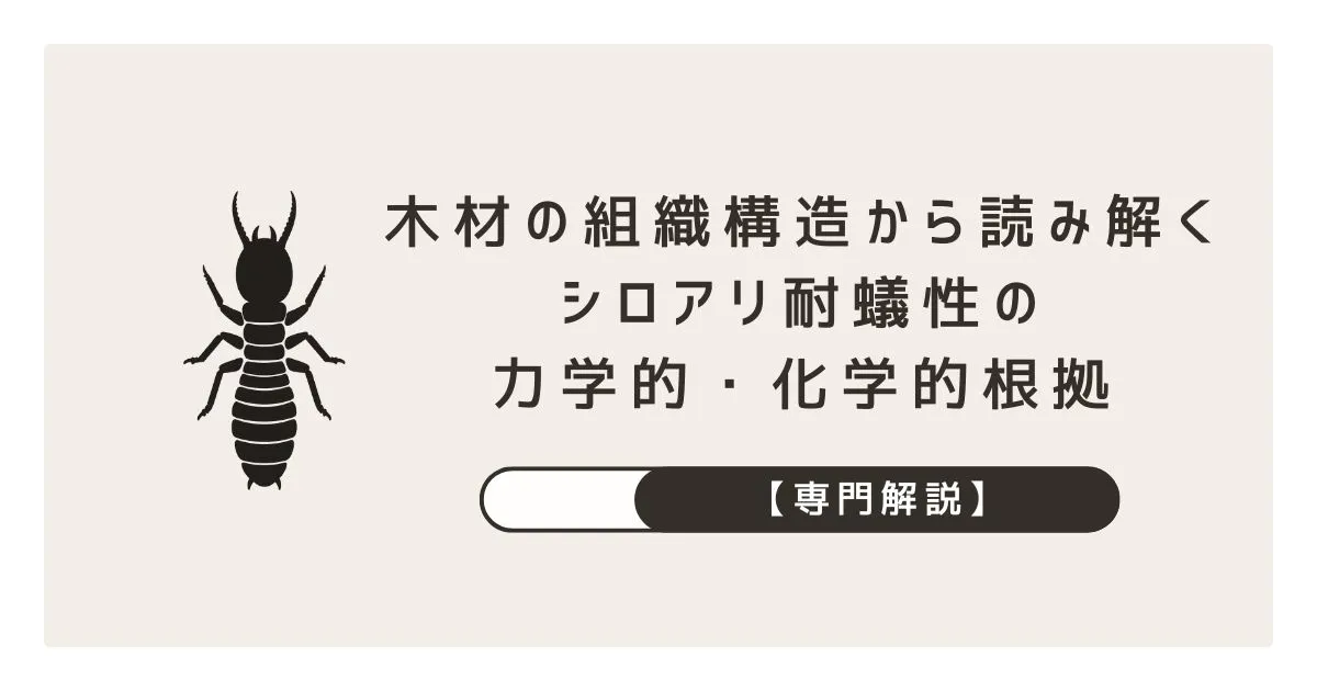 【専門解説】木材の組織構造から読み解くシロアリ耐蟻性の力学的・化学的根拠