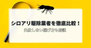 シロアリ駆除業者比較