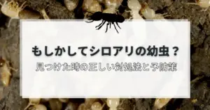 シロアリの幼虫