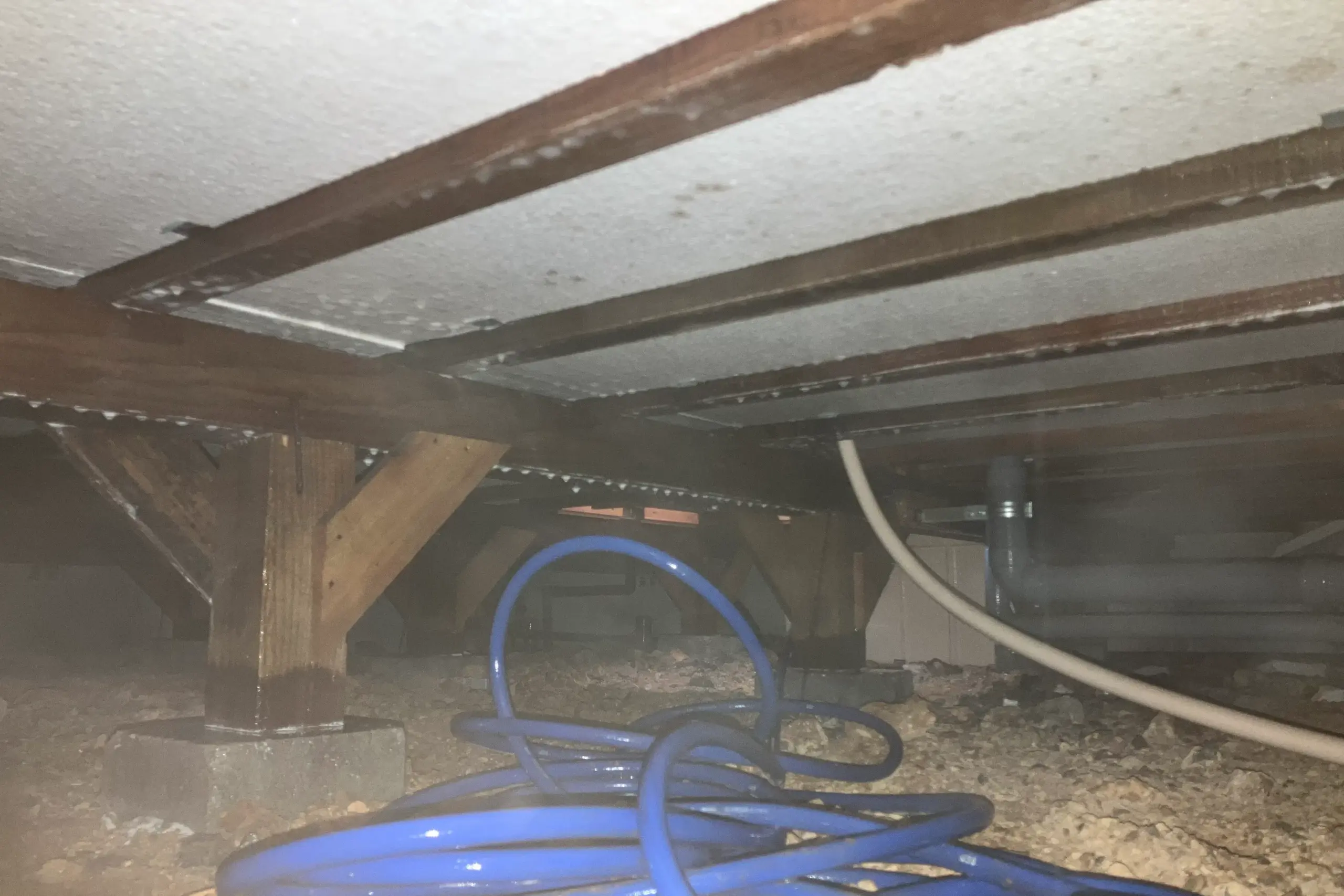 平屋の広い床下で、木材や土壌にロングホースを使って薬剤を散布している様子